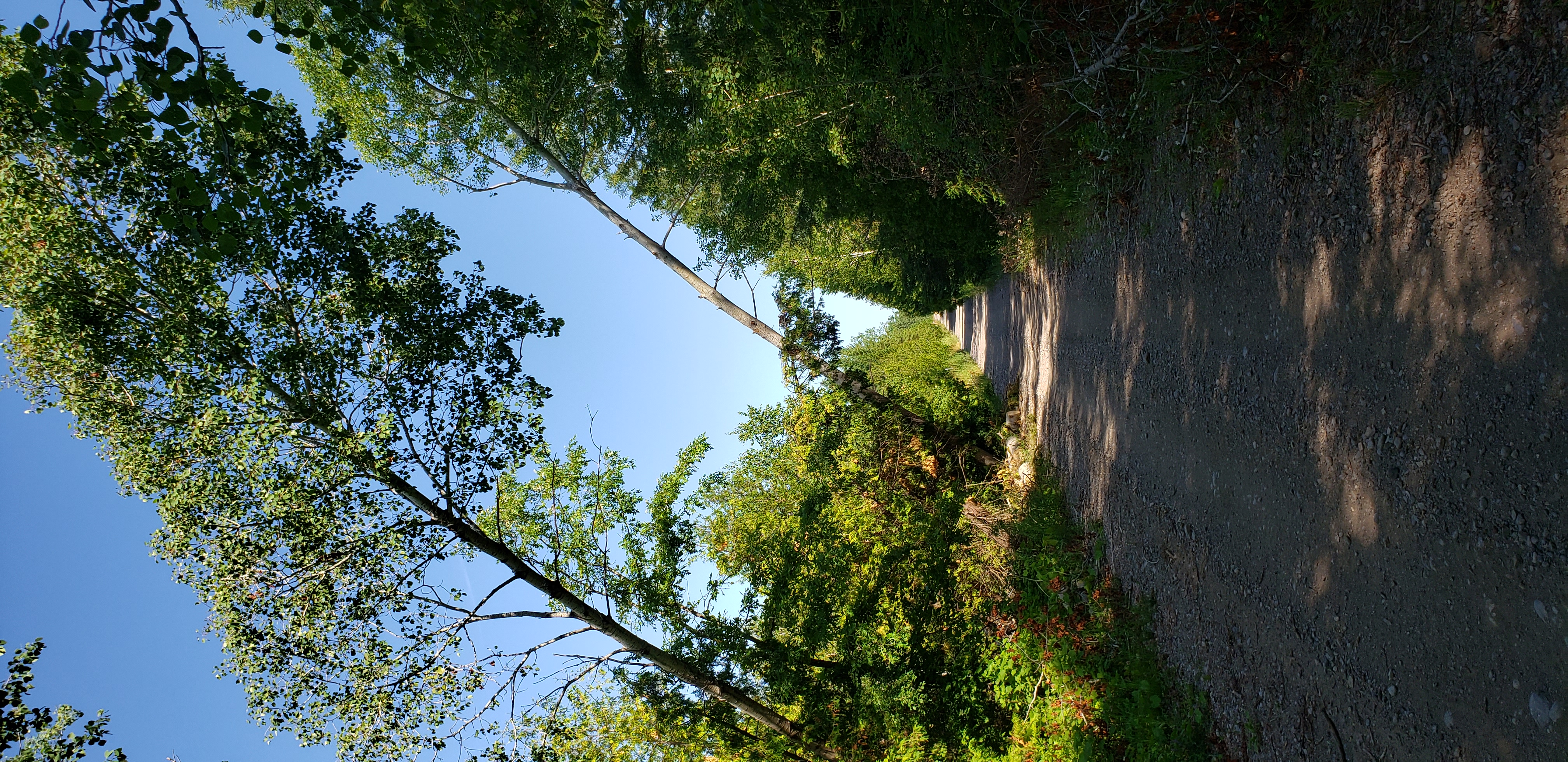 Photos