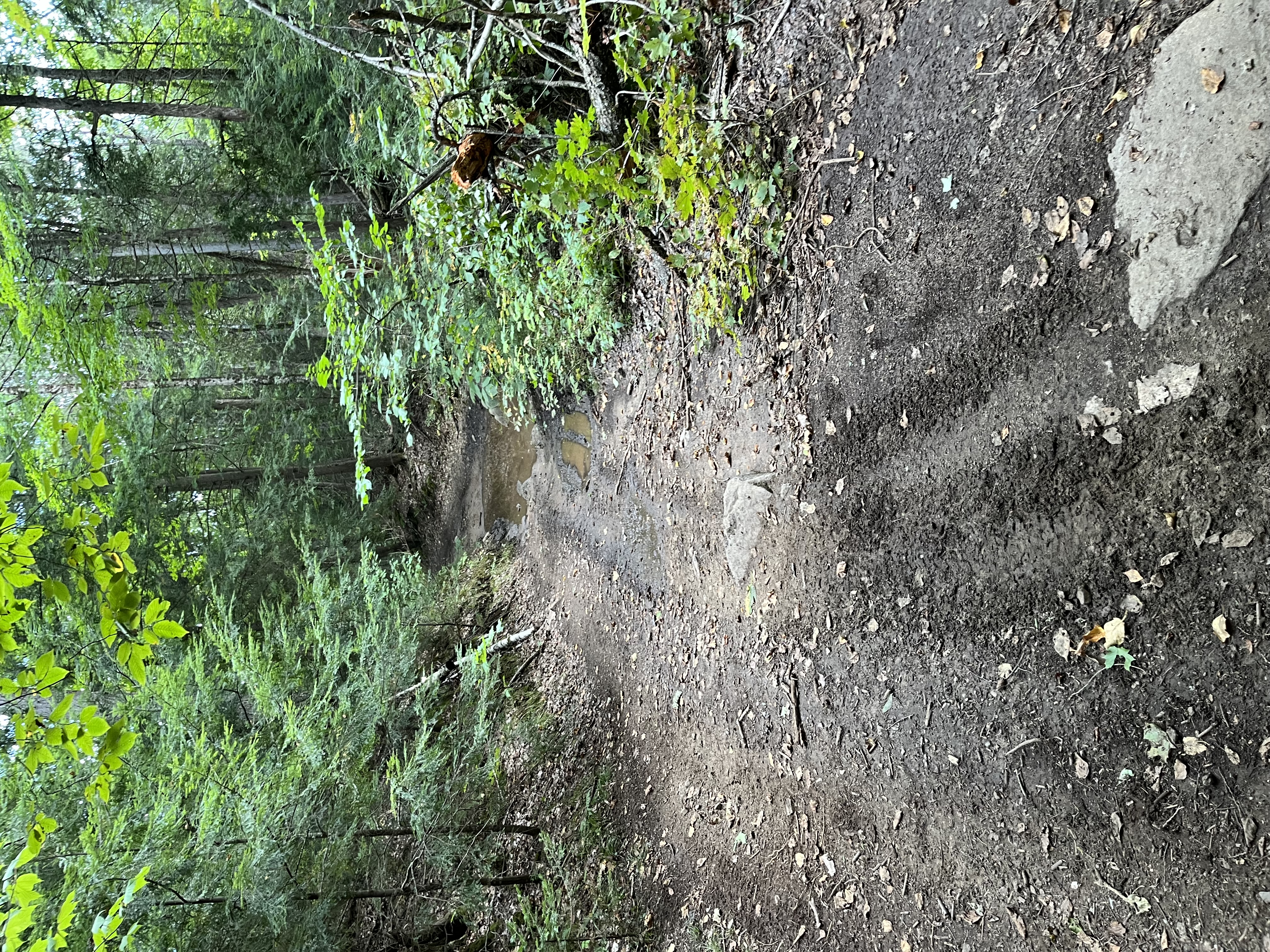 Trail Hazard Photos