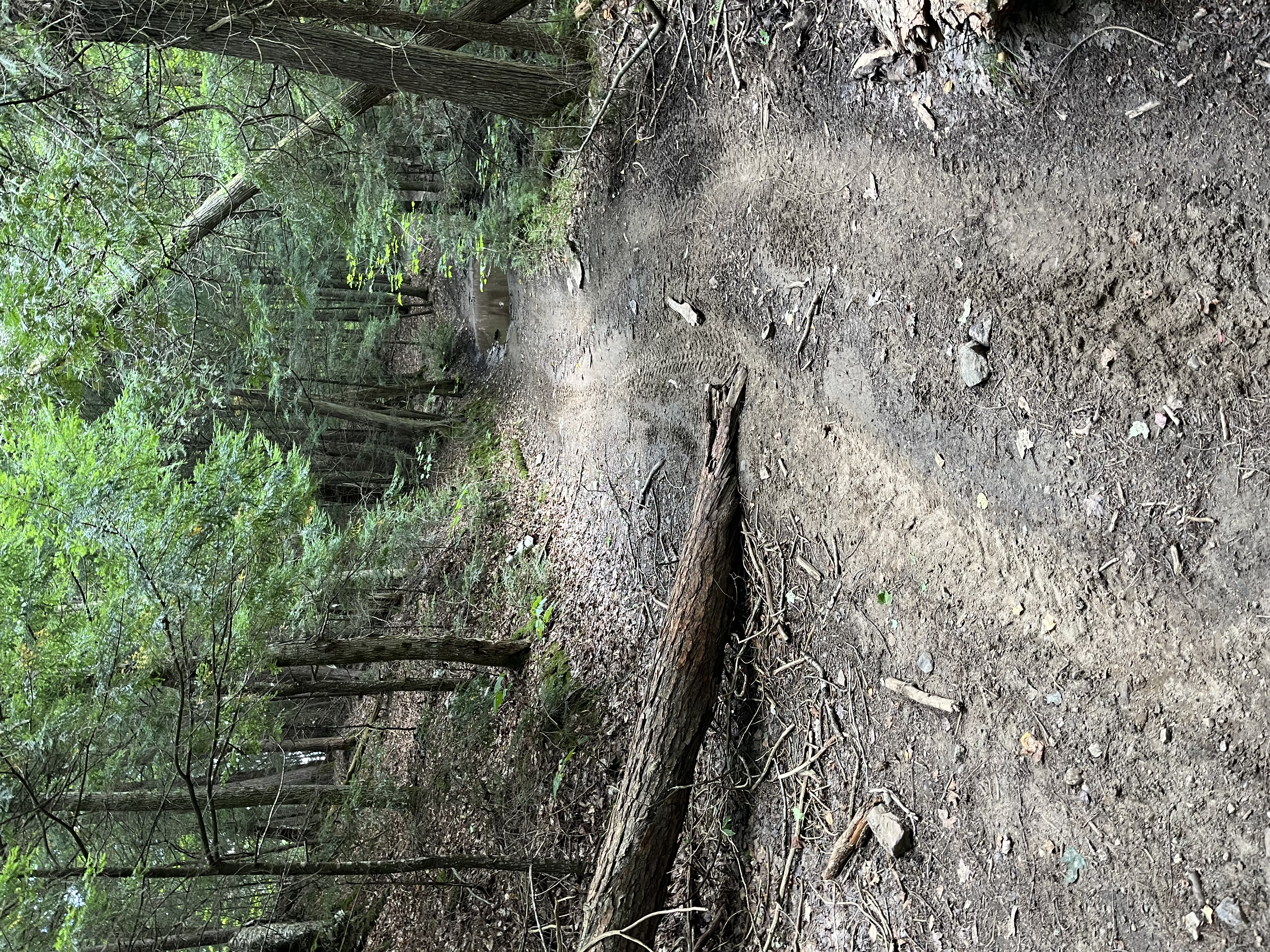 Trail Hazard Photos