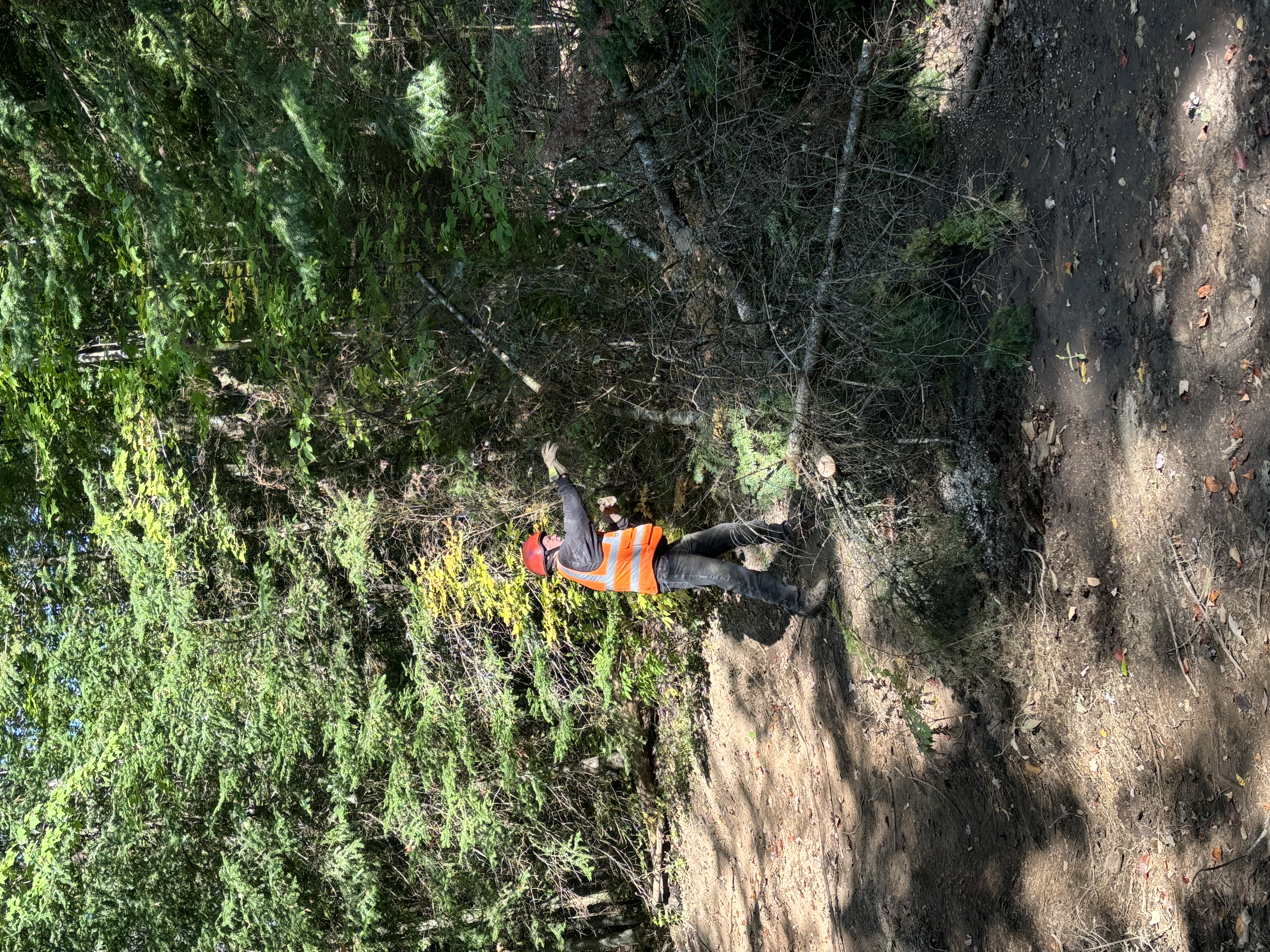Trail Hazard Photos