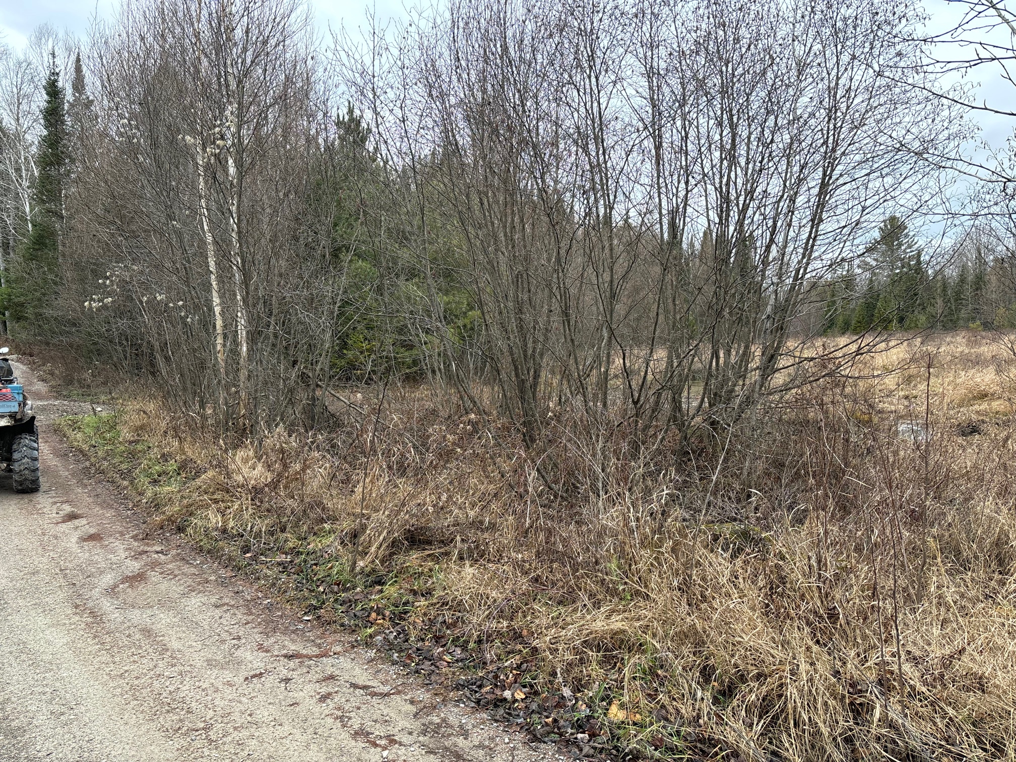 Trail Hazard Photos