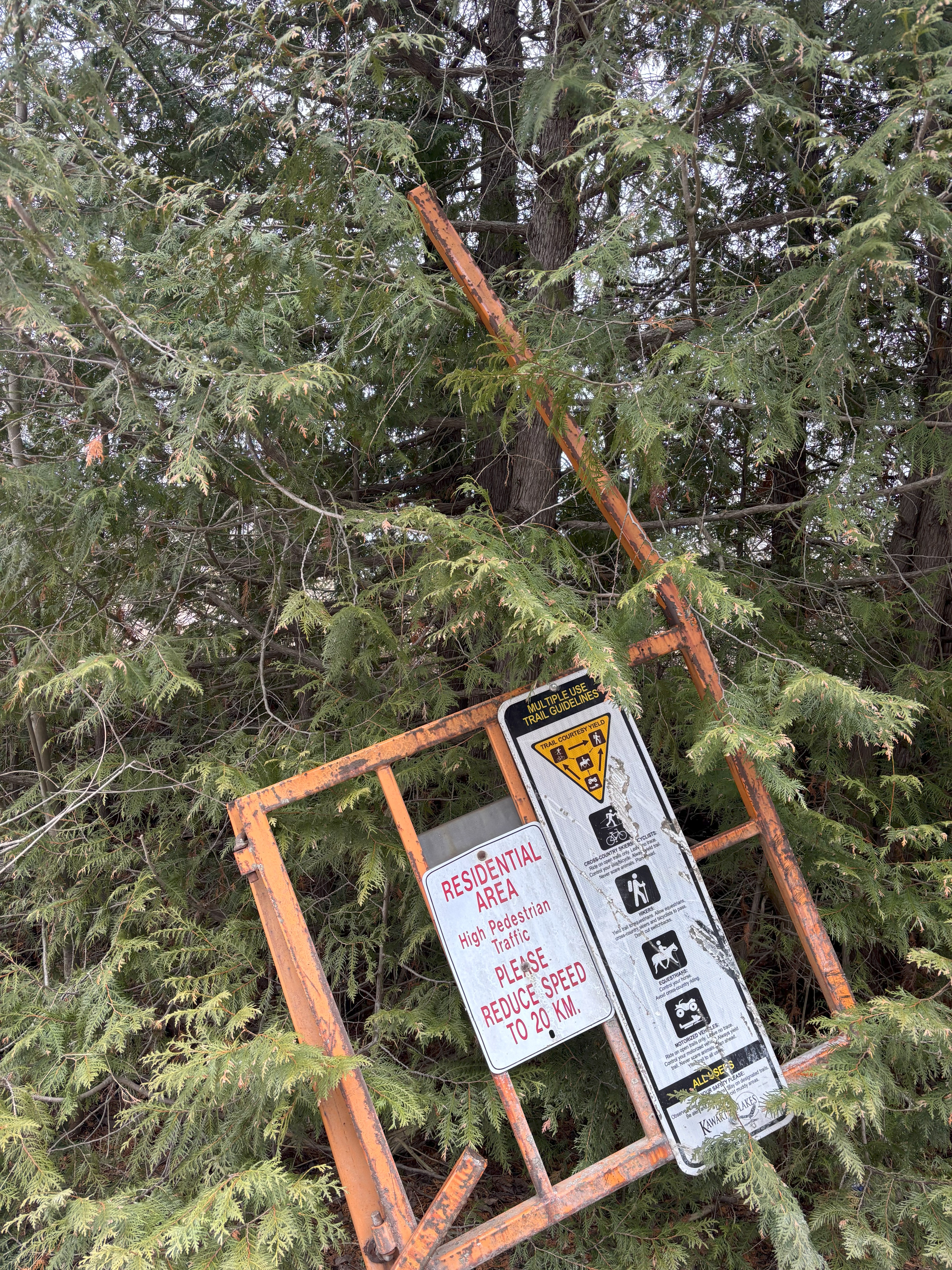 Trail Hazard Photos