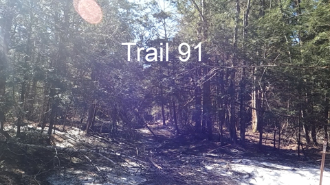 Trail Hazard Photos