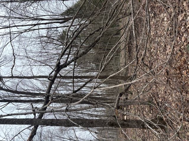 Trail Hazard Photos
