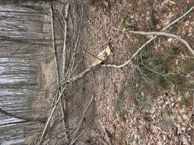 Trail Hazard Photos
