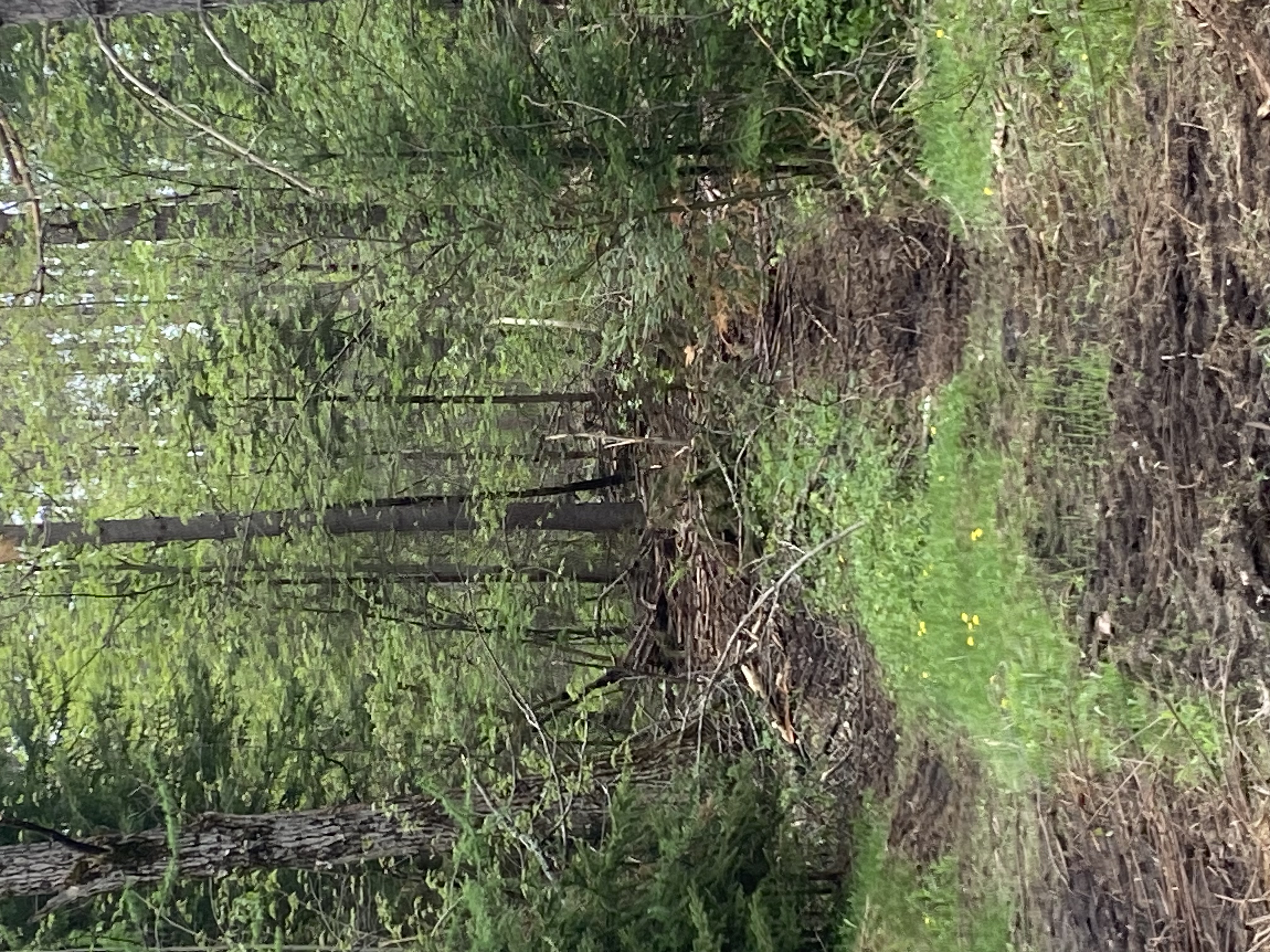Photos
