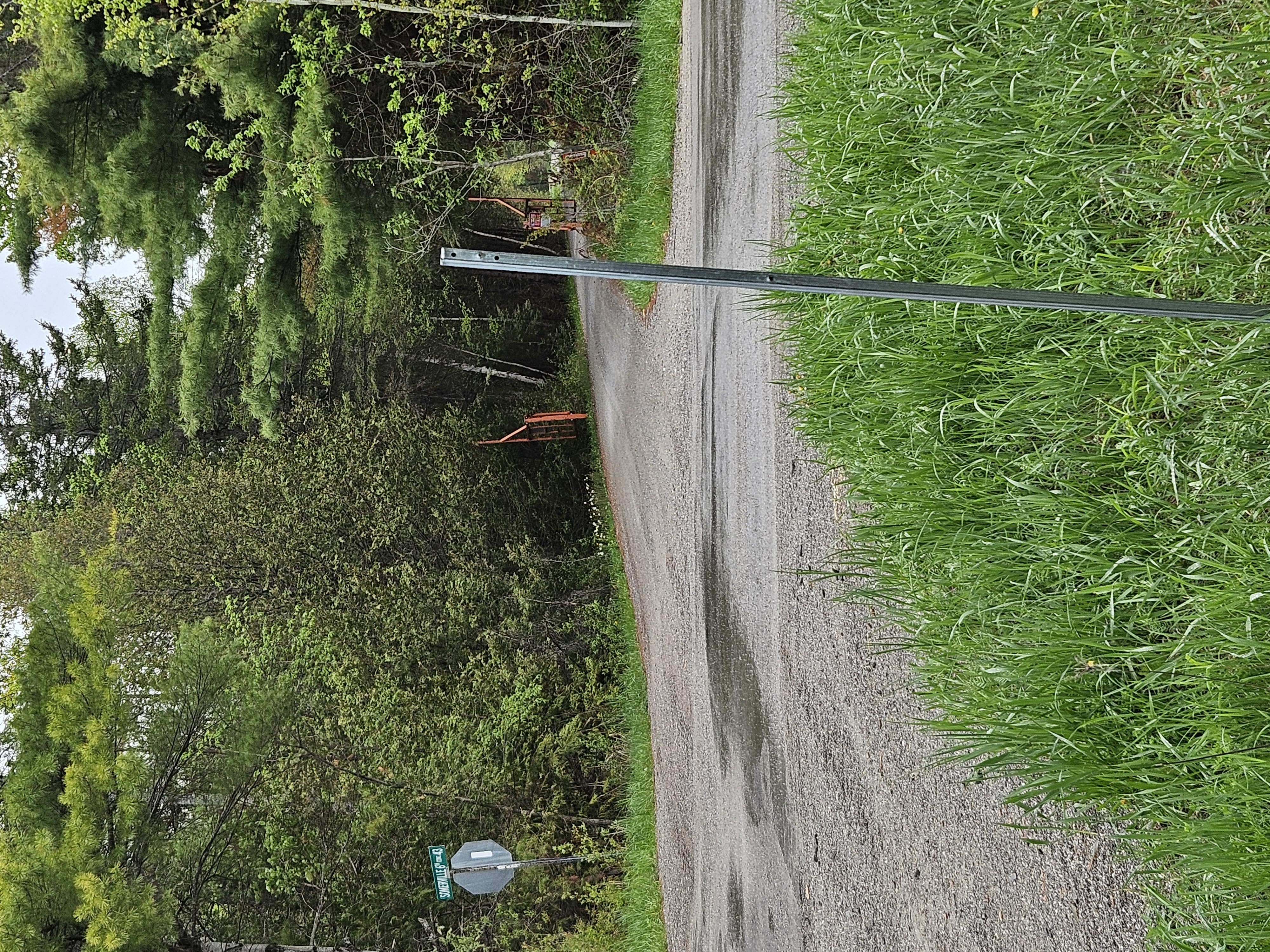 Photos
