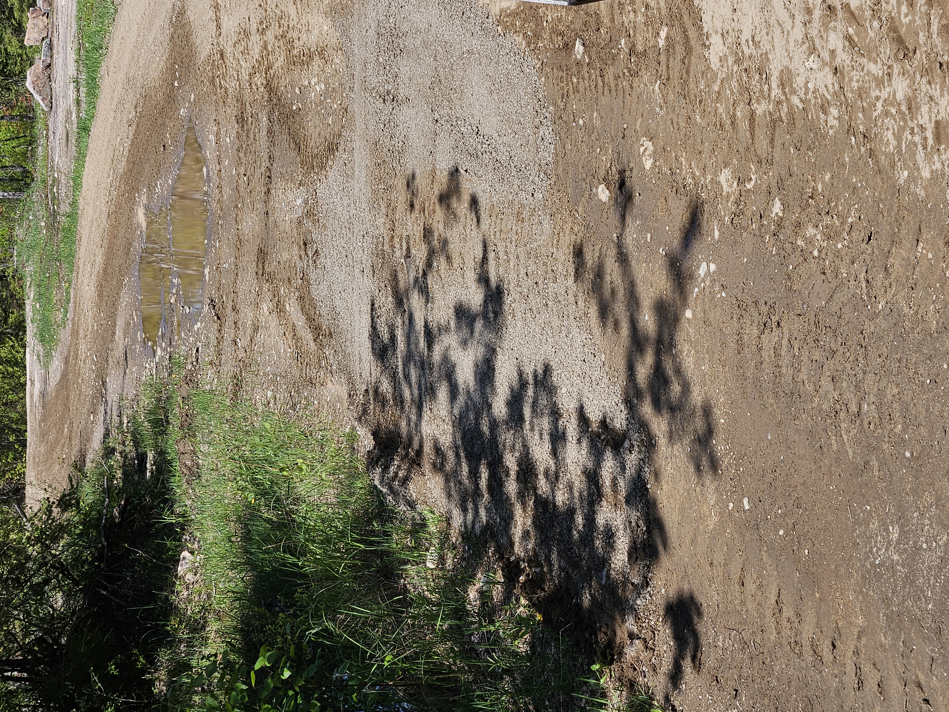 Trail Hazard Photos