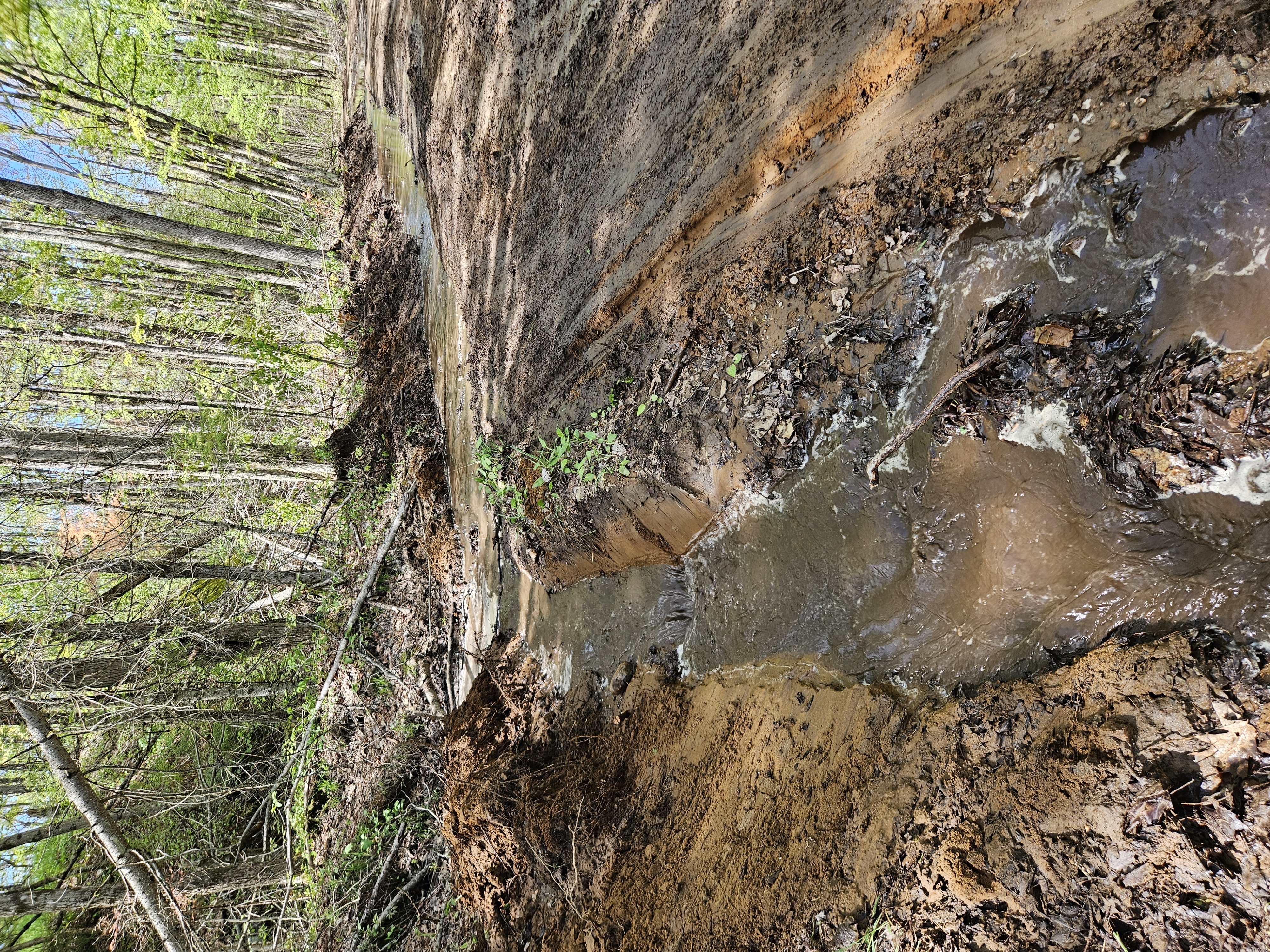 Trail Hazard Photos