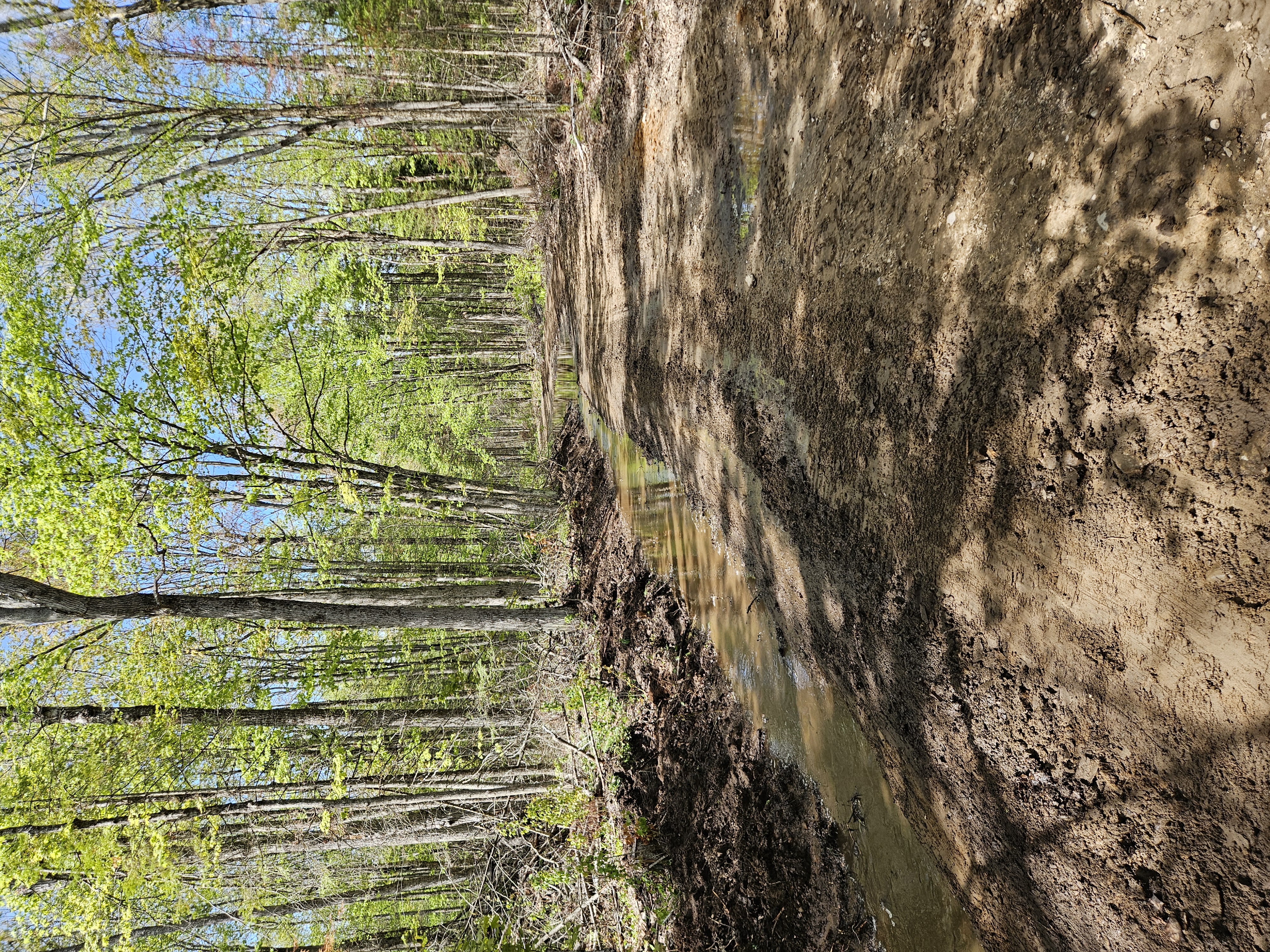 Trail Hazard Photos