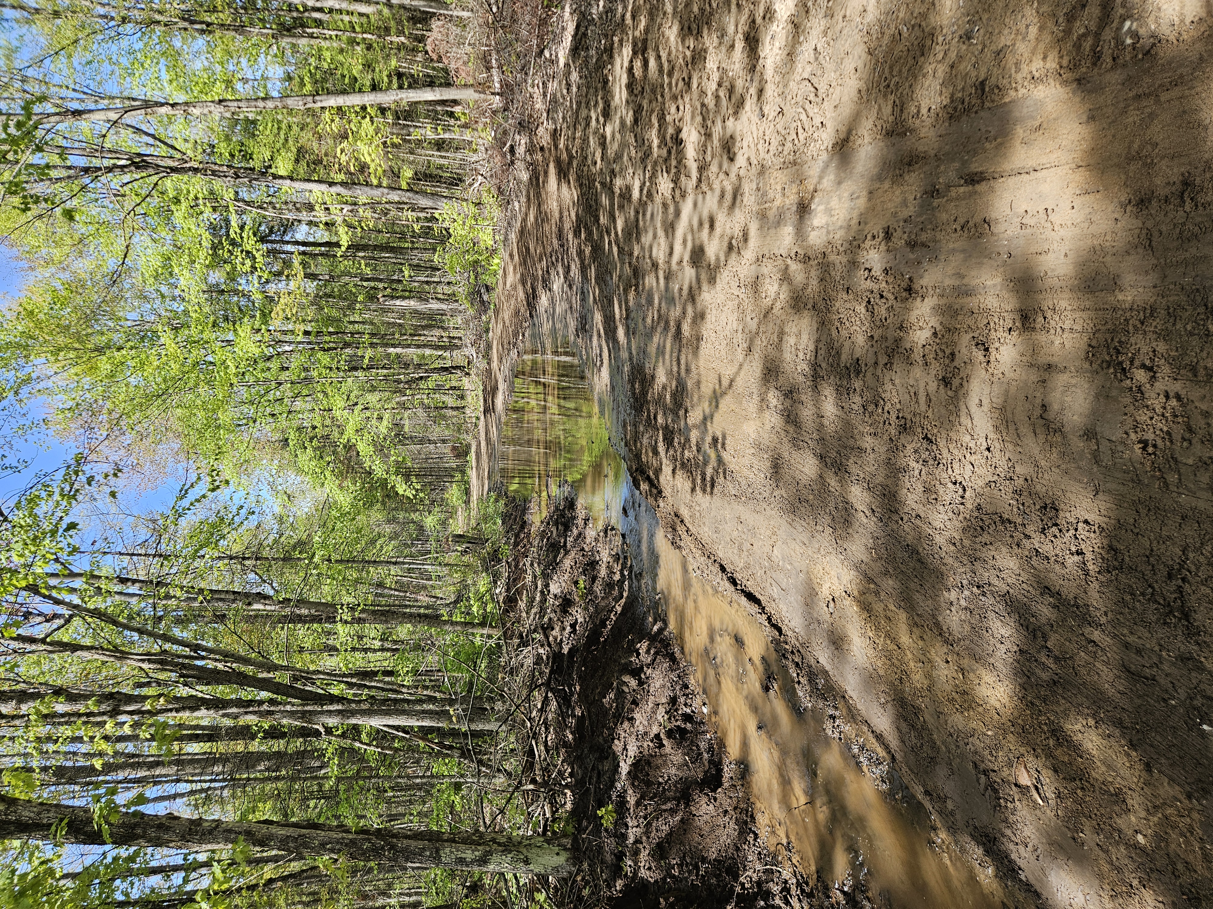 Trail Hazard Photos