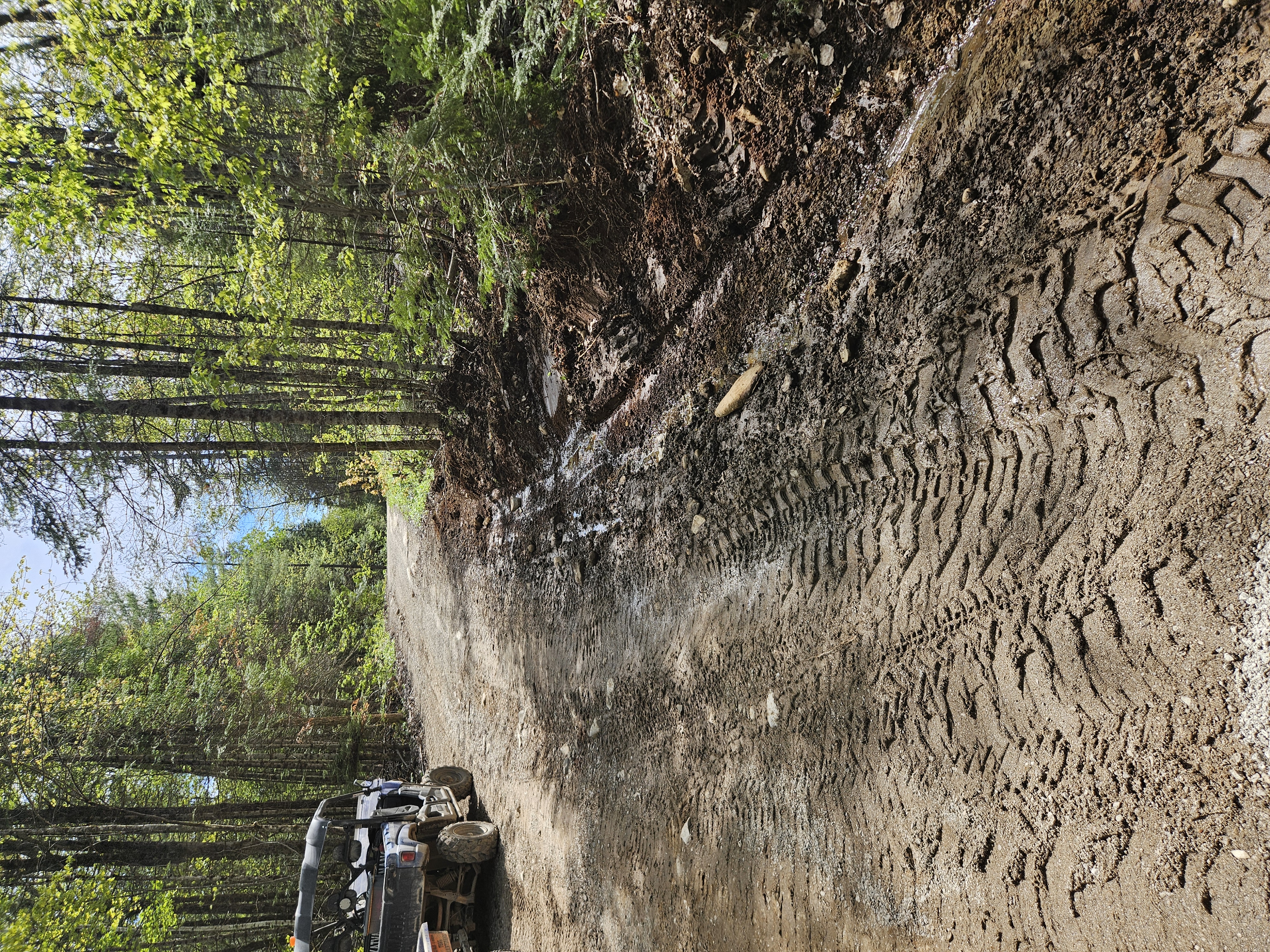 Trail Hazard Photos