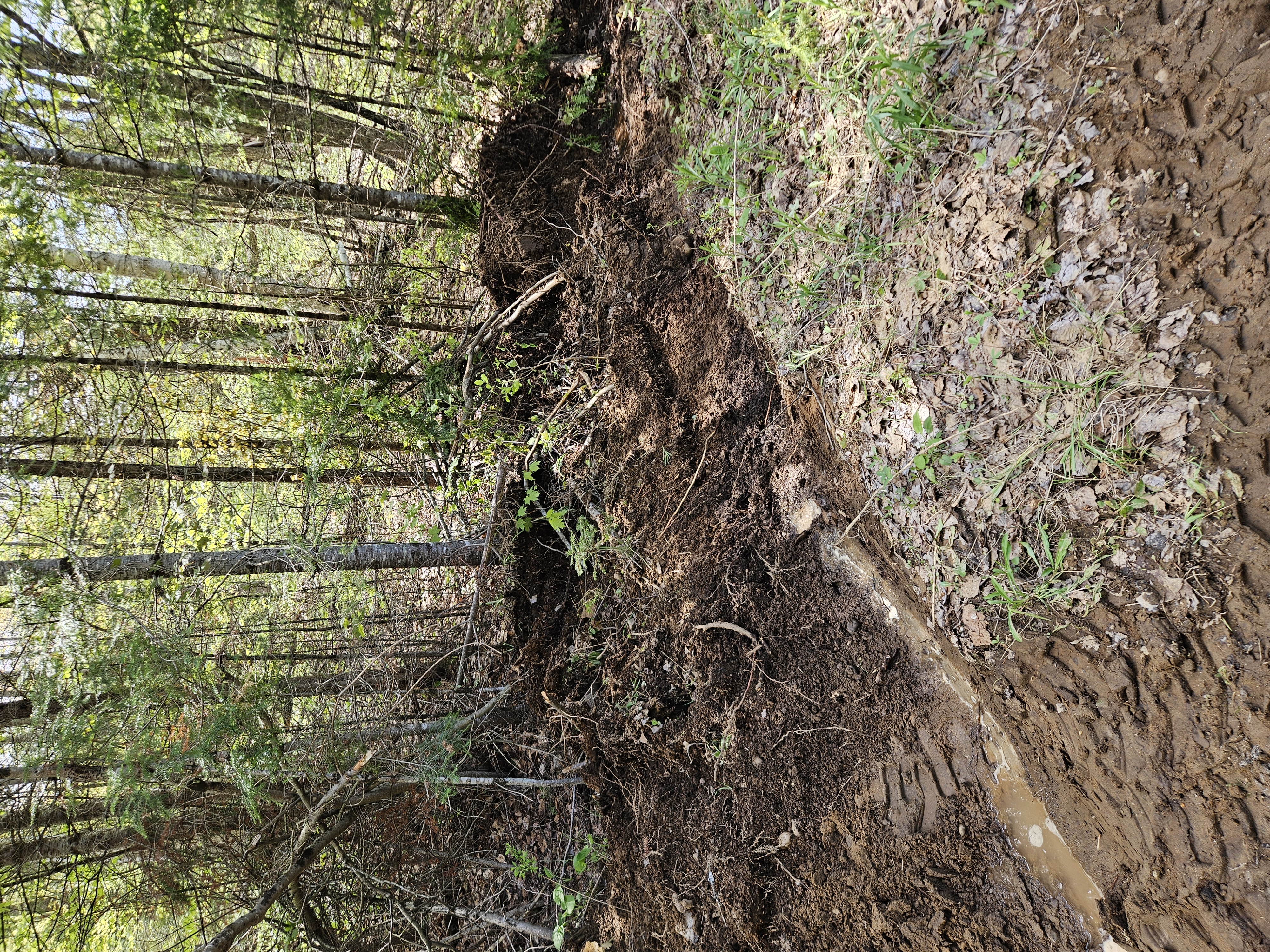 Trail Hazard Photos