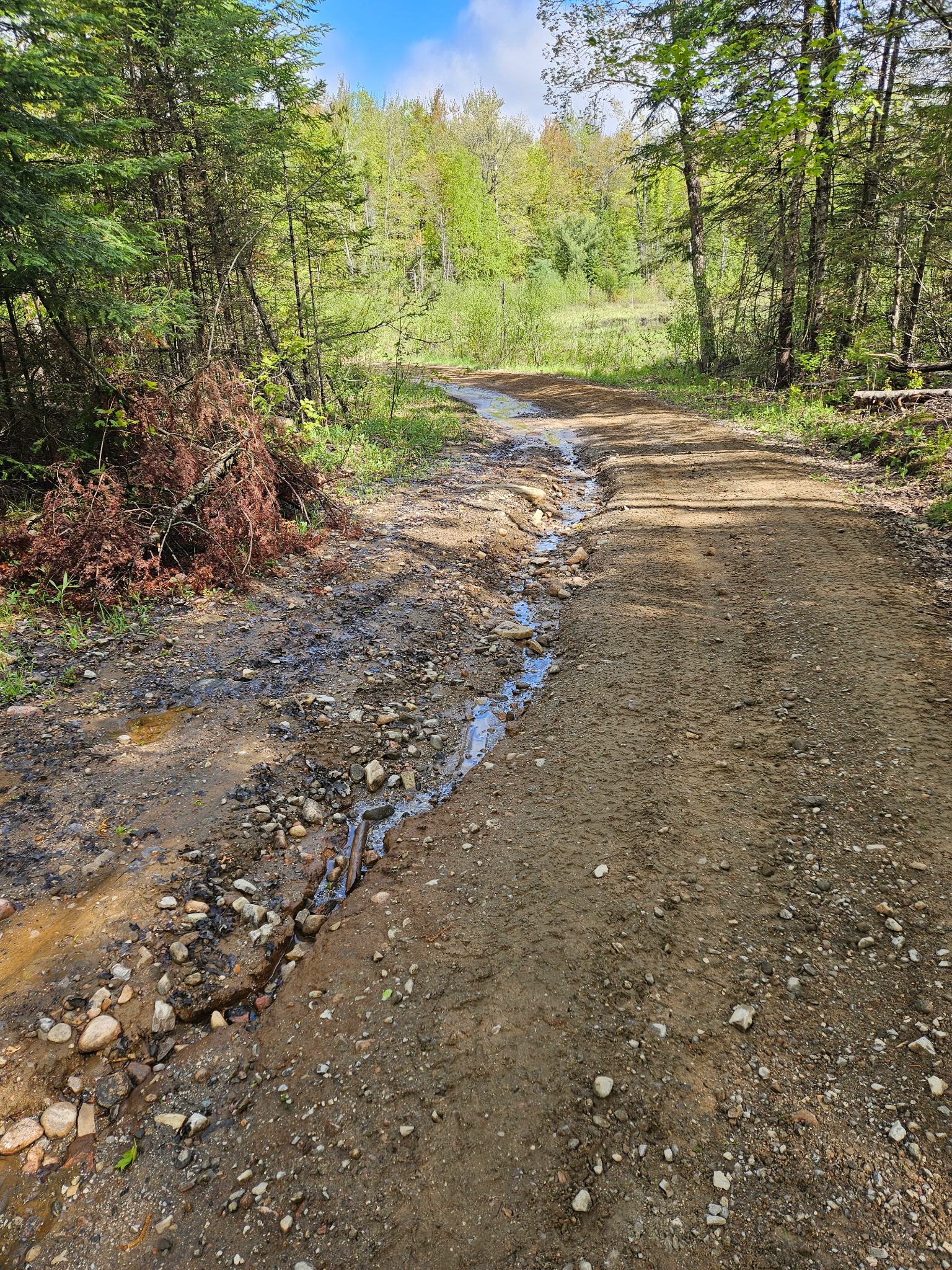 Trail Hazard Photos