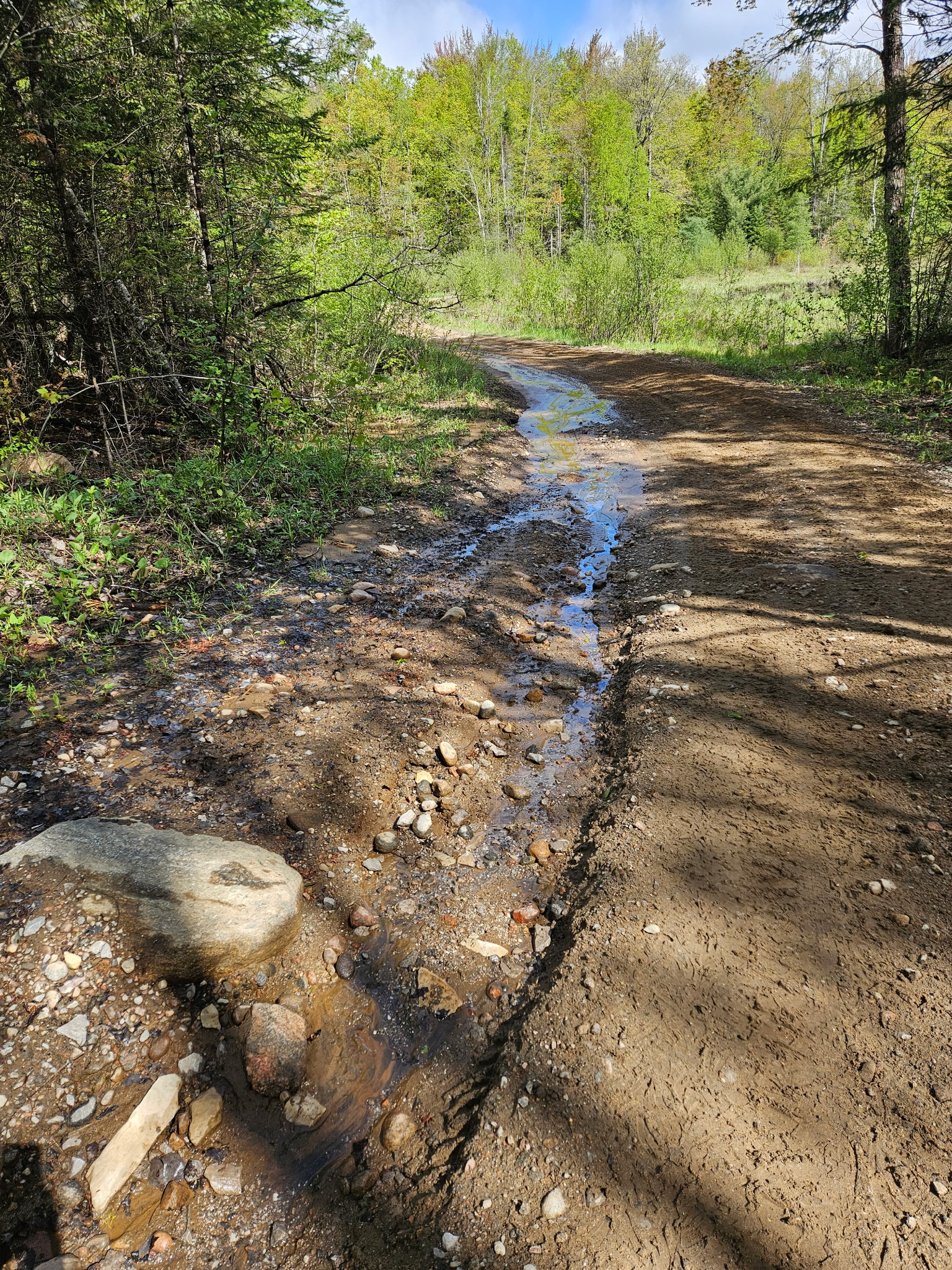 Trail Hazard Photos