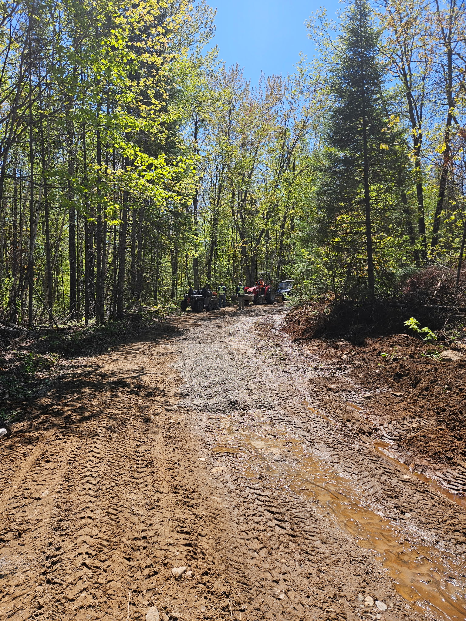Trail Hazard Photos