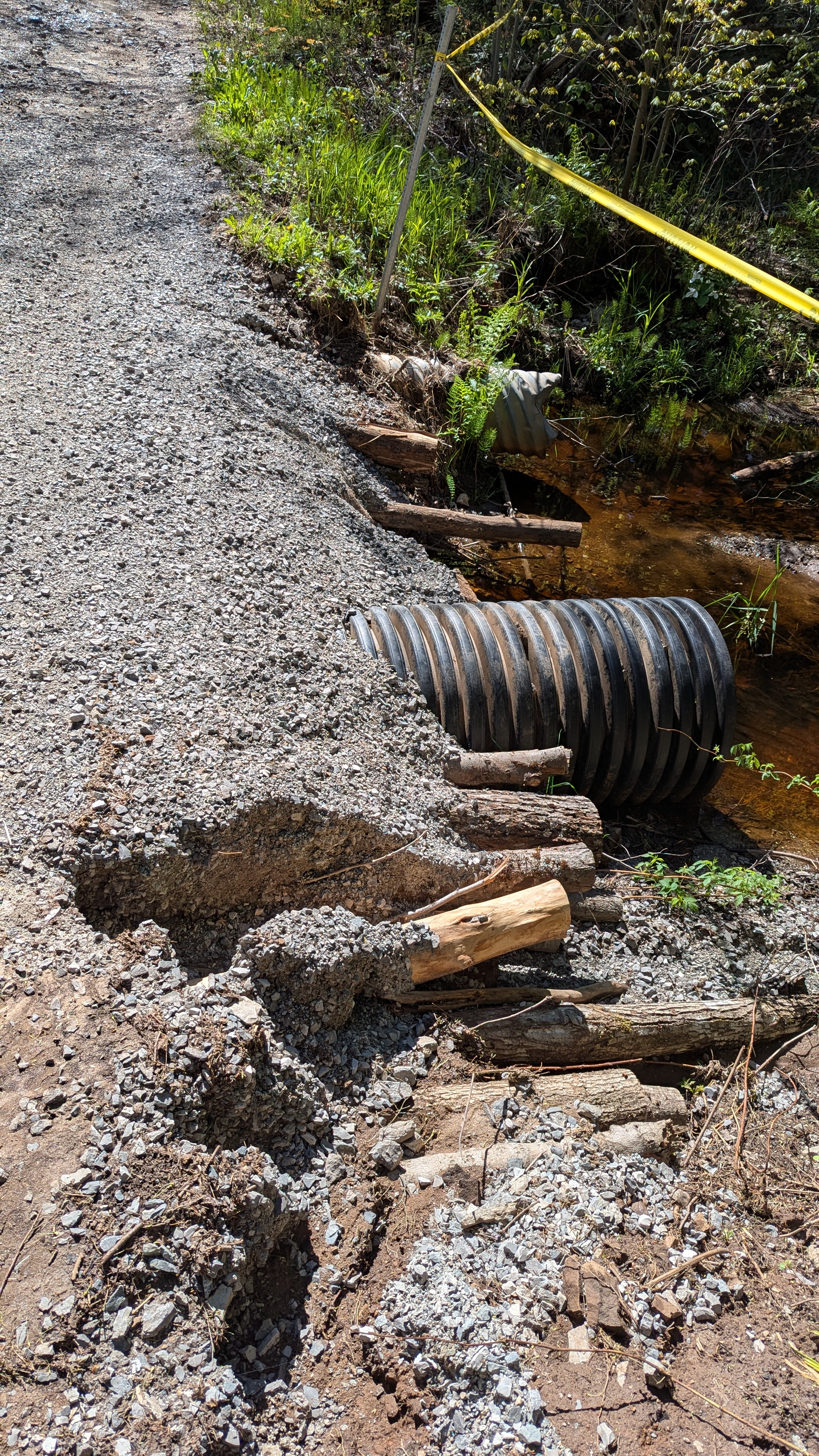 Trail Hazard Photos