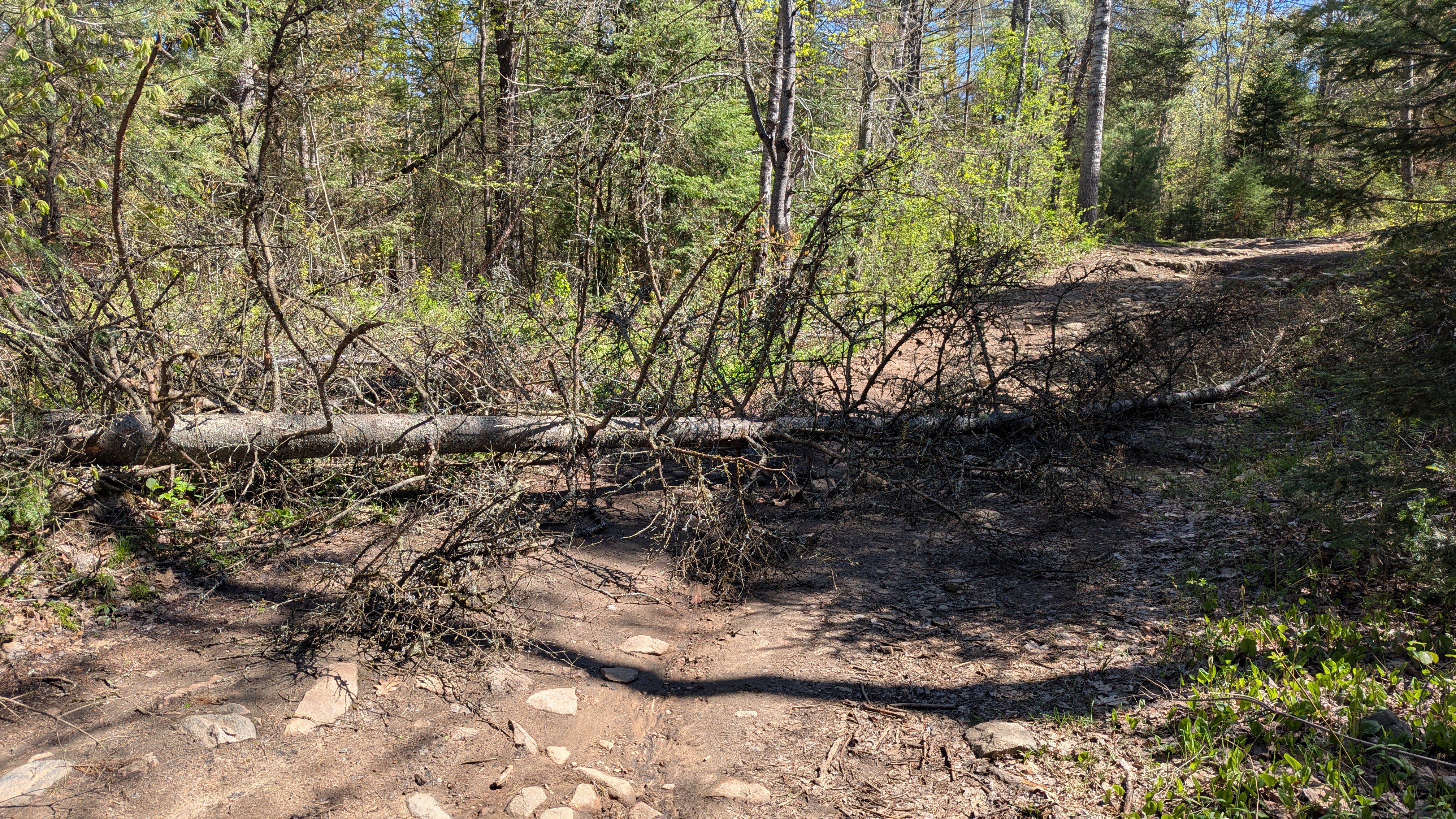 Trail Hazard Photos