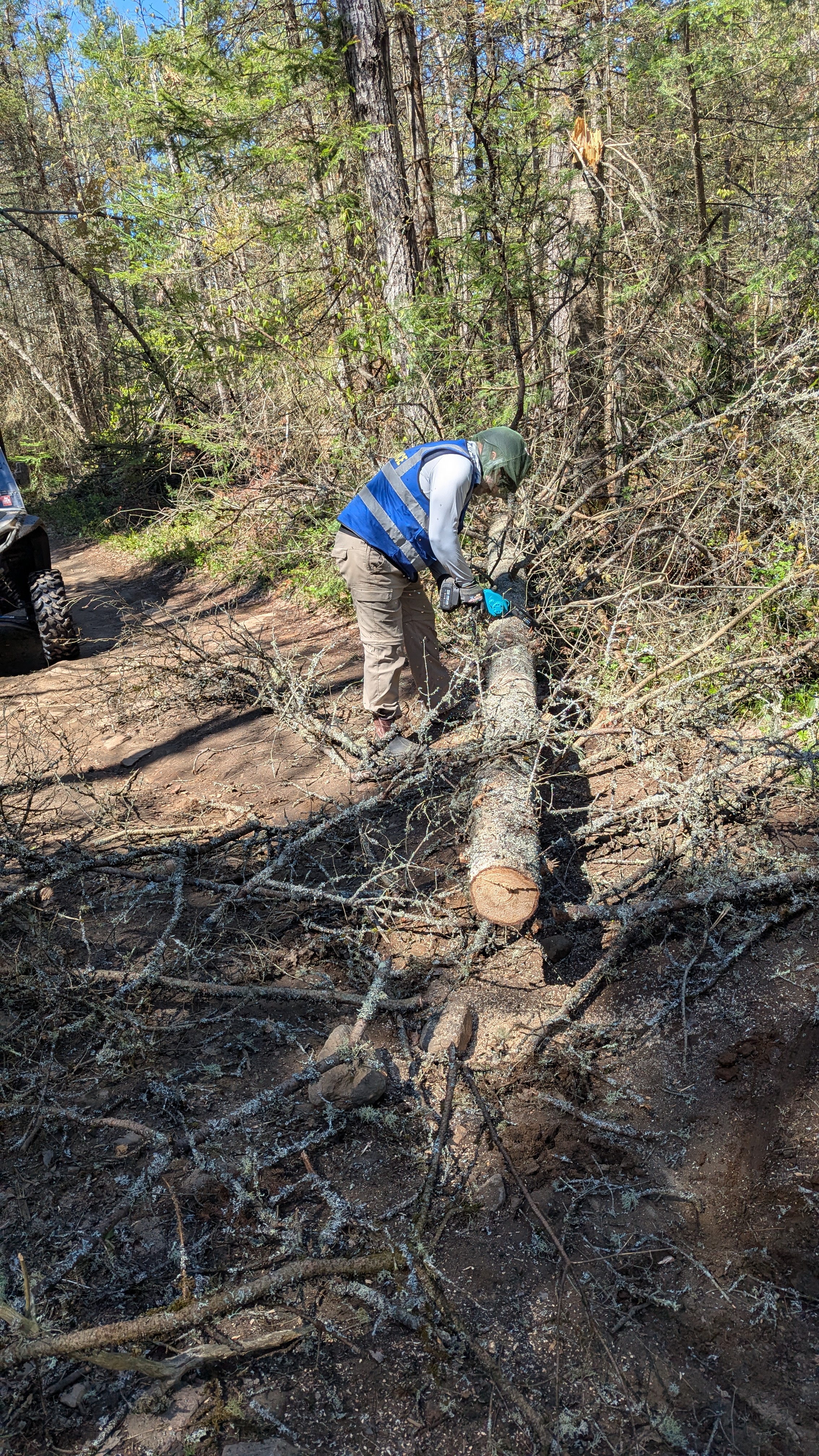 Trail Hazard Photos