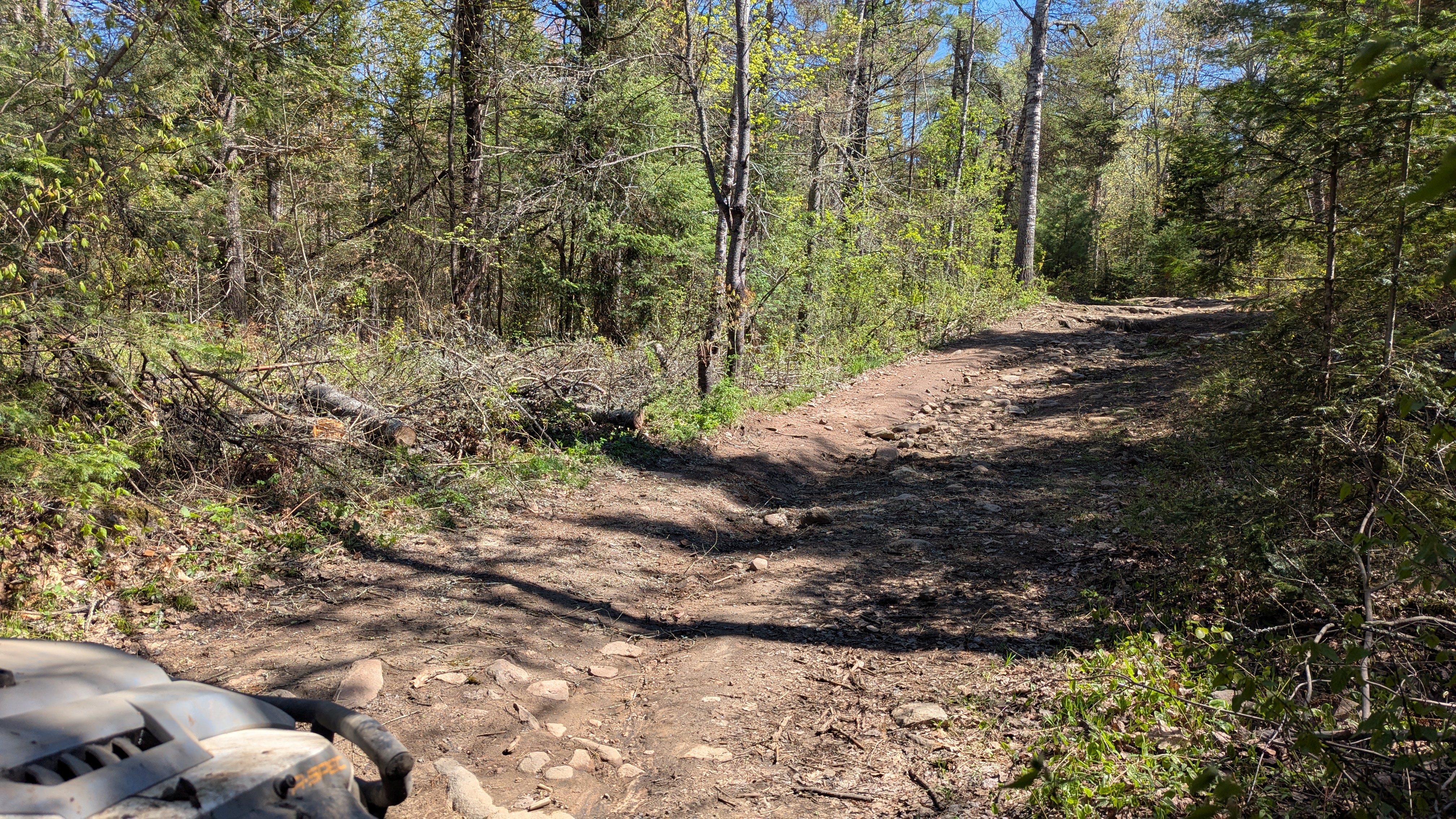 Trail Hazard Photos