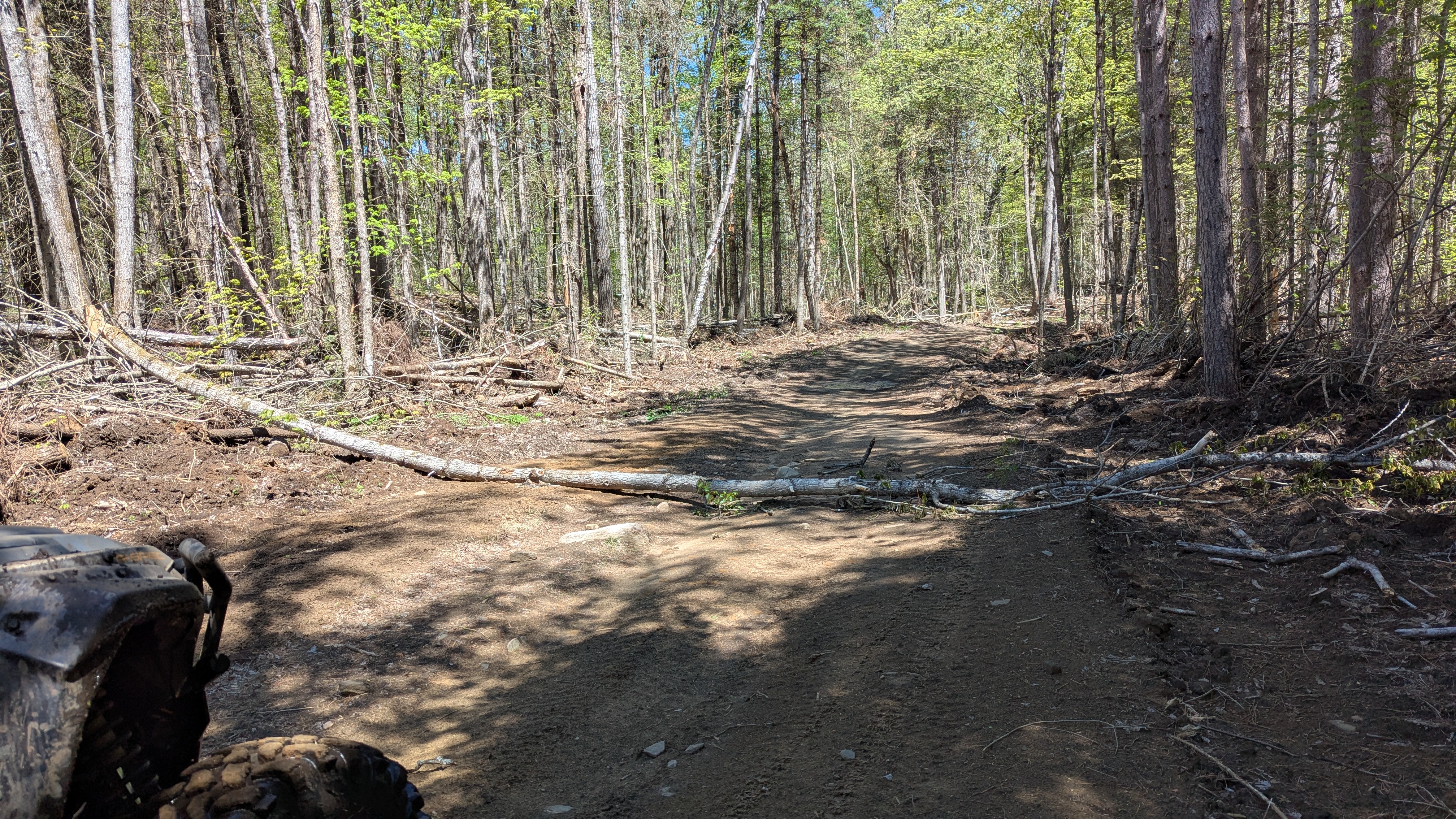 Trail Hazard Photos