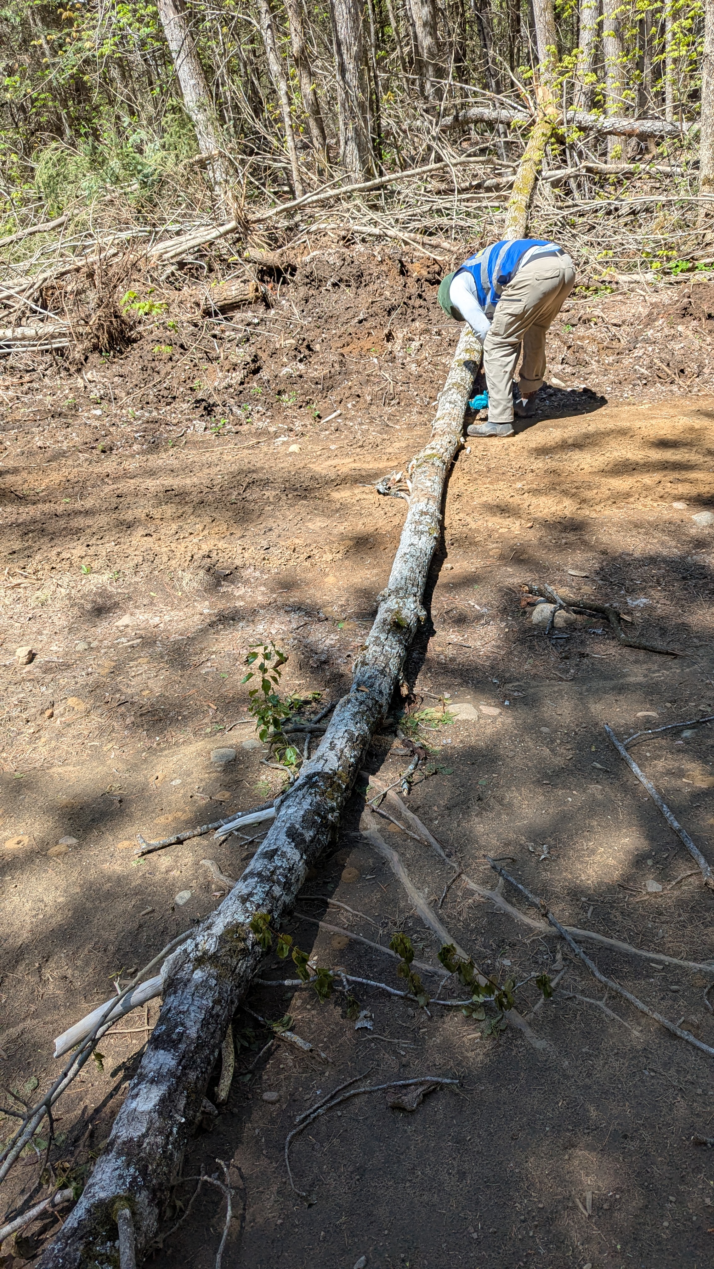 Trail Hazard Photos