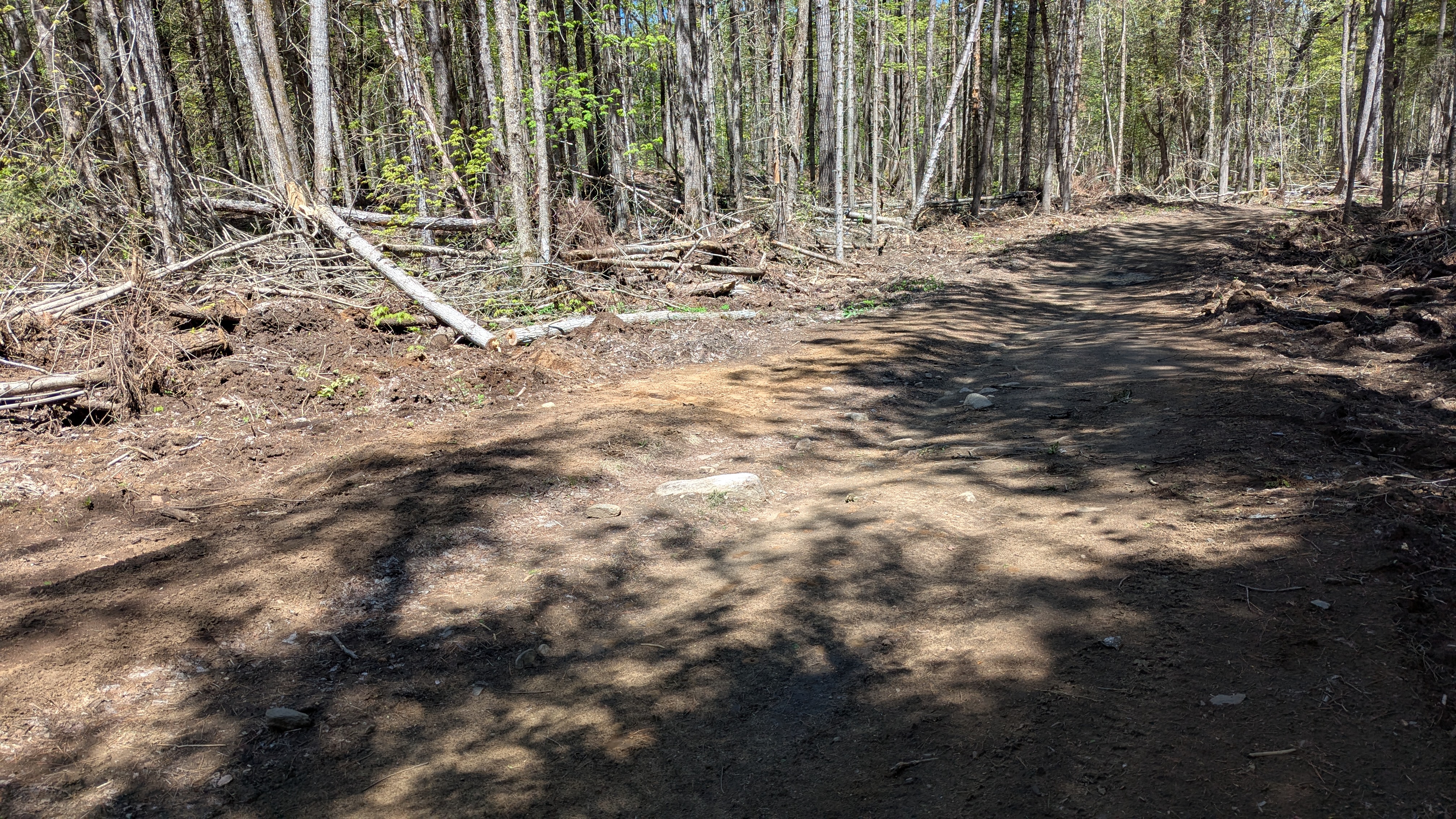 Trail Hazard Photos