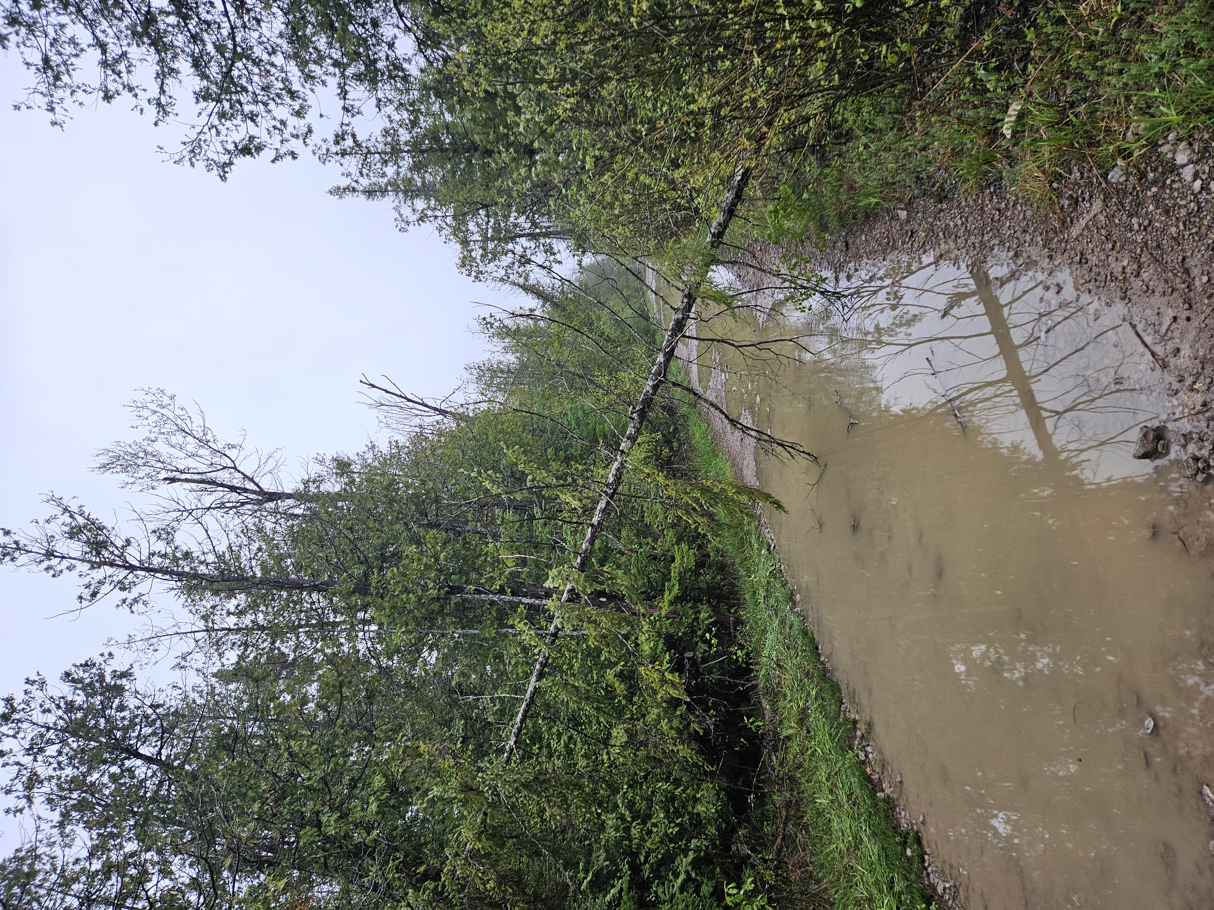 Trail Hazard Photos