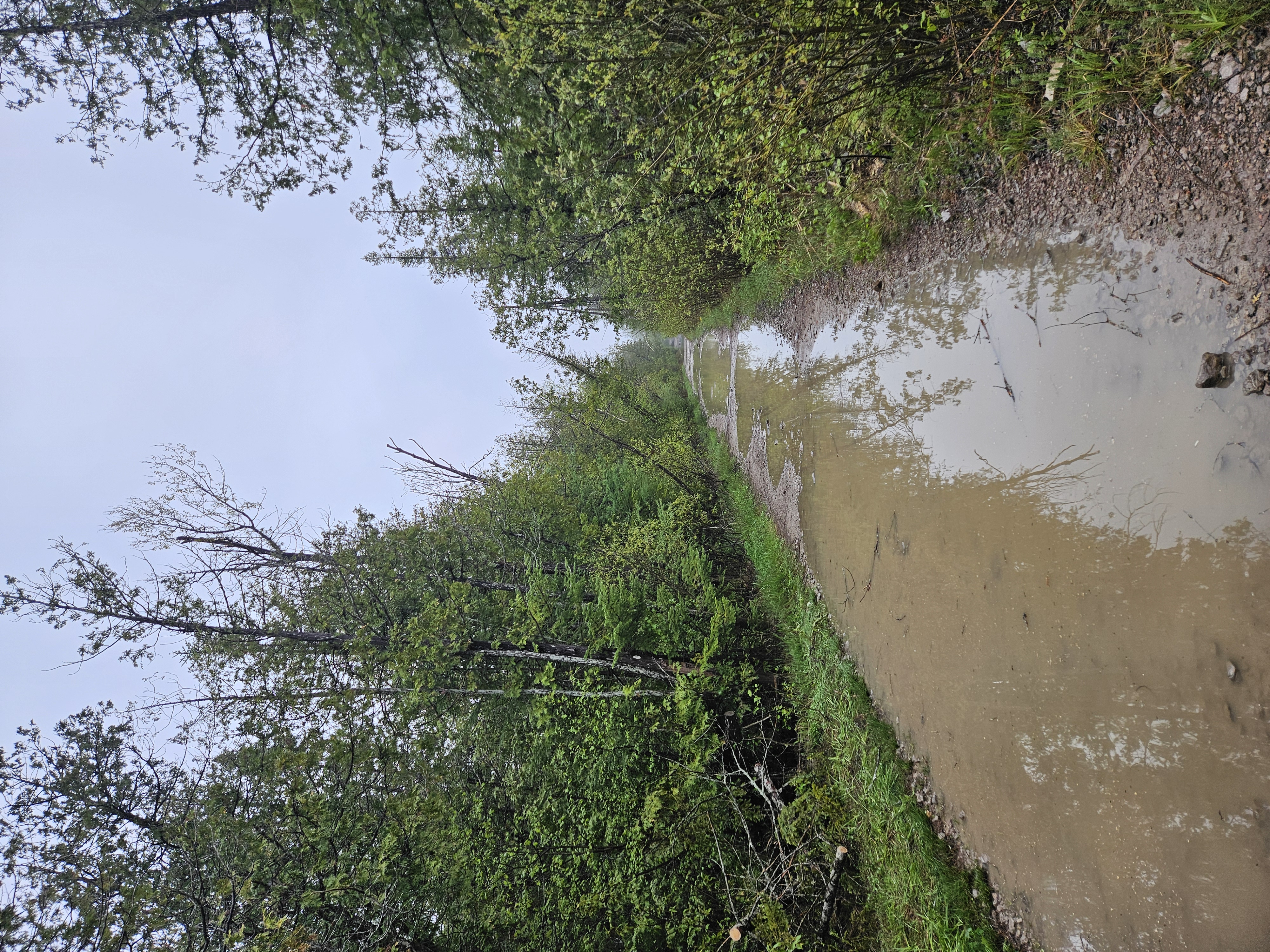 Trail Hazard Photos
