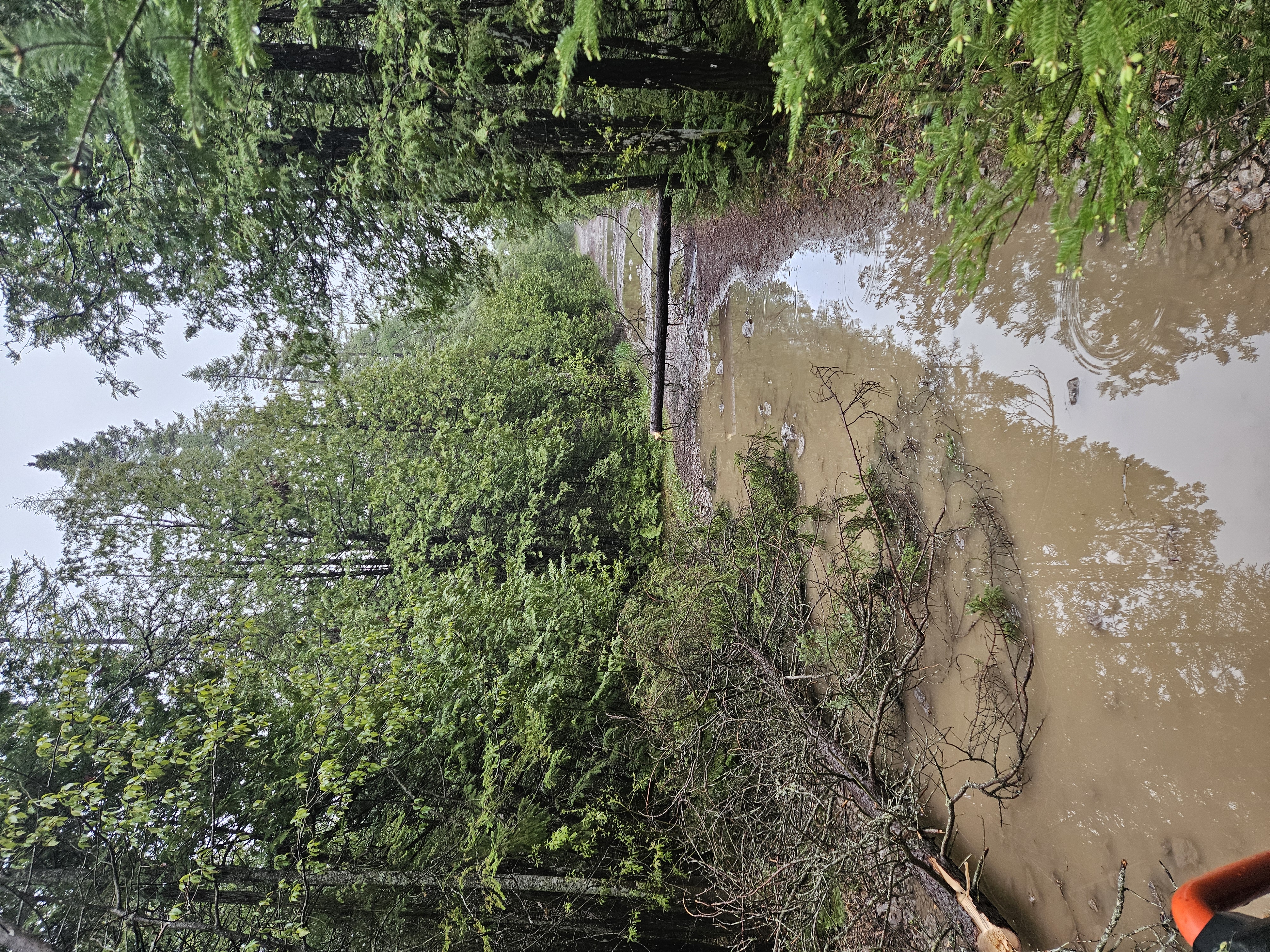 Trail Hazard Photos