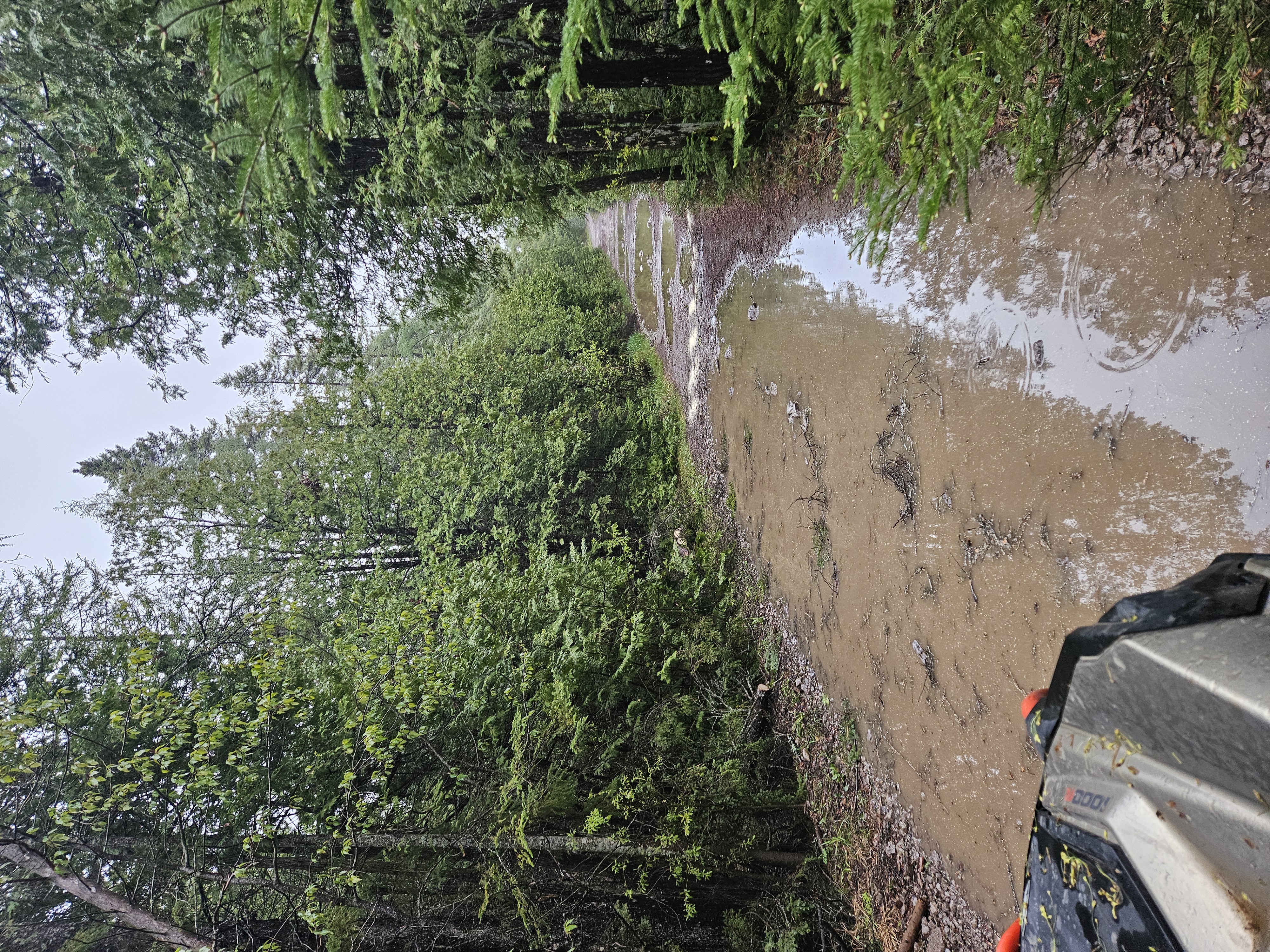 Trail Hazard Photos