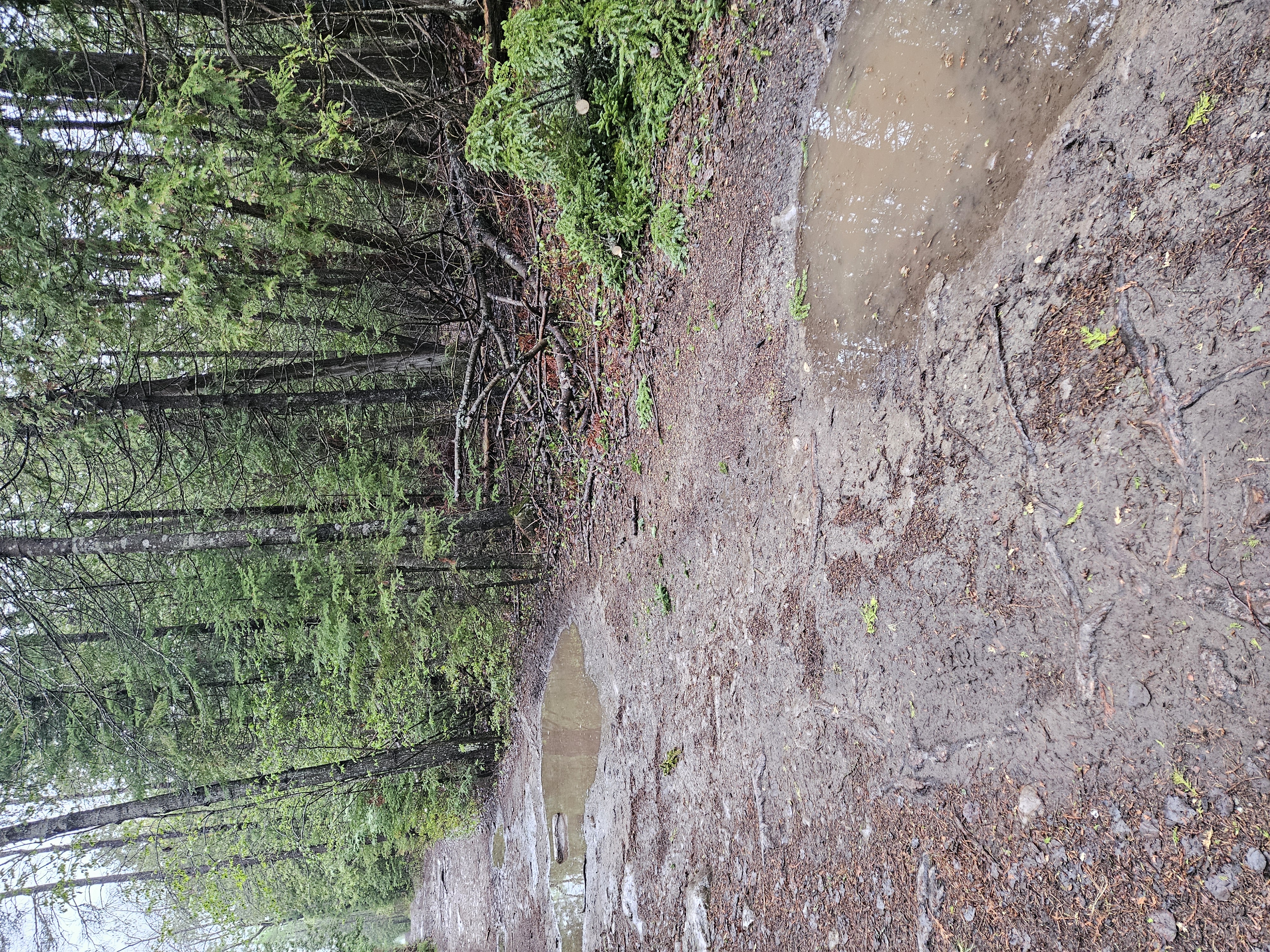 Trail Hazard Photos