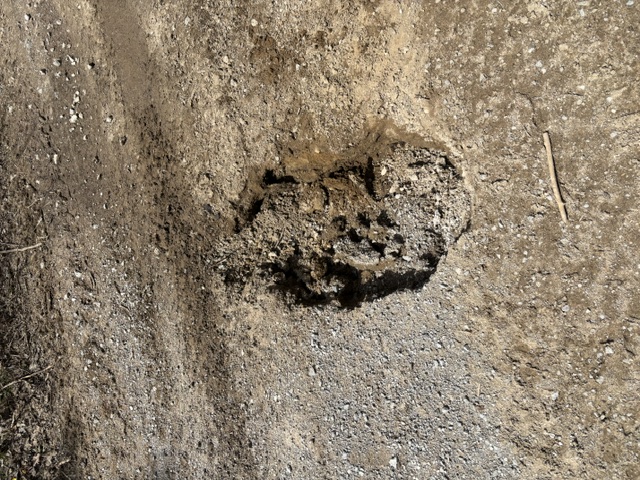 Trail Hazard Photos