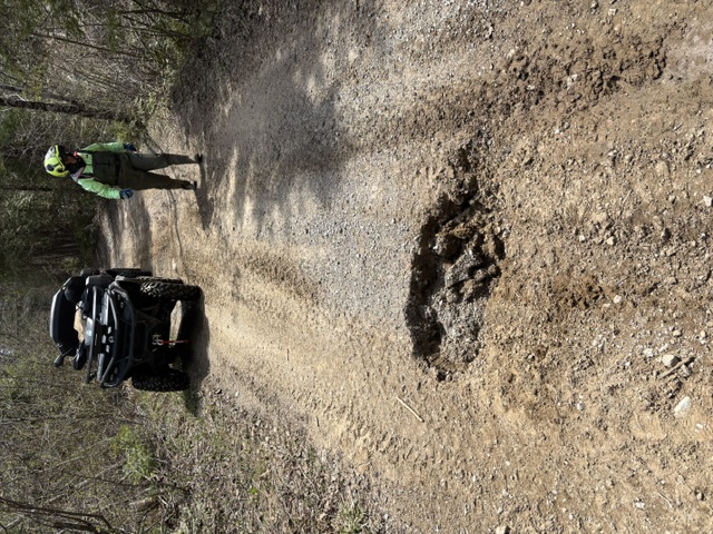 Trail Hazard Photos