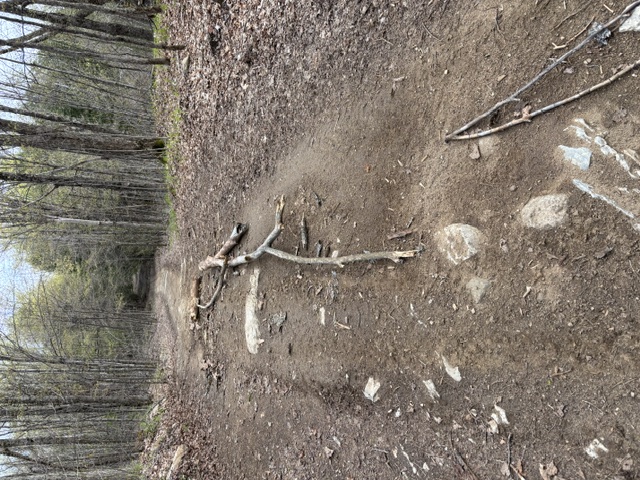 Trail Hazard Photos